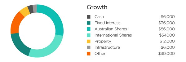 Growth investment allocation breakdown